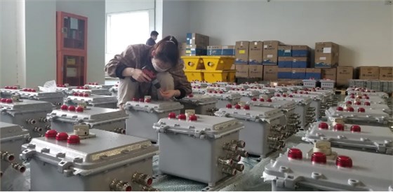 华荣防爆电器、华荣防爆员工努力工作一角