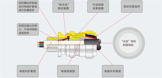（防冷流）防爆电缆夹紧密封接头图例