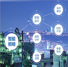 华荣智能照明管控系统助力某化工巨头四川基地