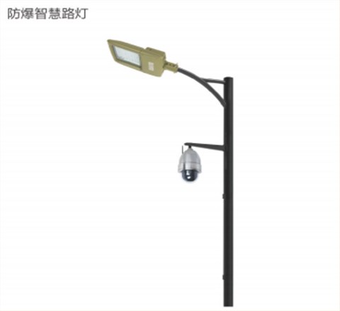 智慧路灯/防爆智慧路灯