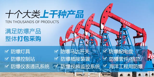 华荣防爆十个大类上千种产品。主要产品有：IECEX防爆电器，ATEX防爆电器，CUTR防爆电器，IECEX防爆产品，ATEX防爆产品，CUTR防爆产品，国际认证防爆电器和国际认证防爆产品。