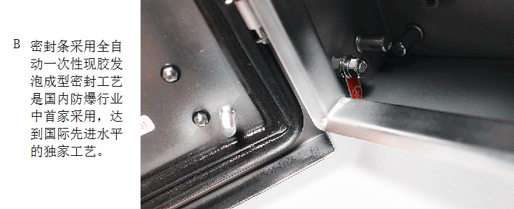 ATEX防爆接线箱，IECEX防爆接线箱，CUTR防爆接线箱，UL防爆接线箱