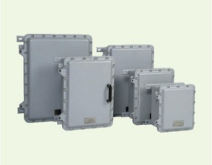 防爆壳体（Ex d IIB+H2)