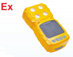 防爆气体探测仪